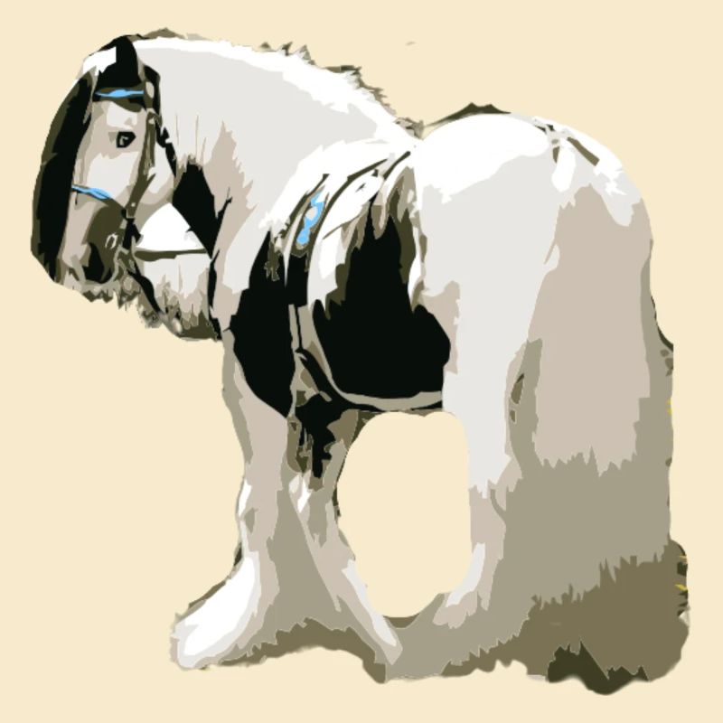 Pferd, Tinker , Pferd Tinker, Geschenkidee