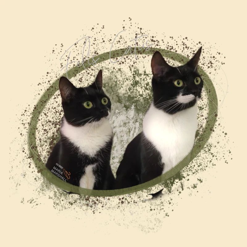 Katzenliebe