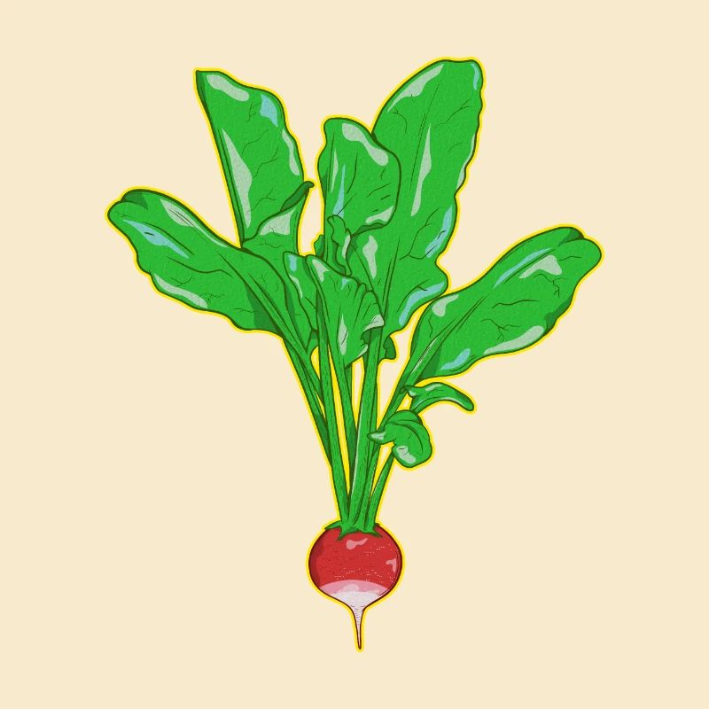 RADISH