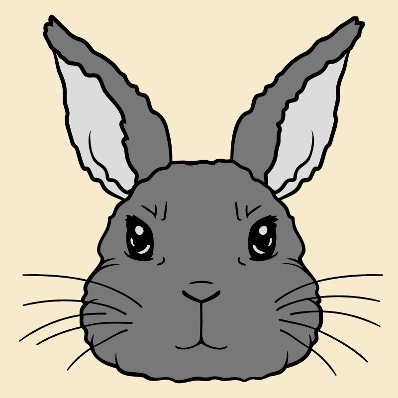 Cute little rabbit face