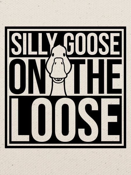 goose on the loose