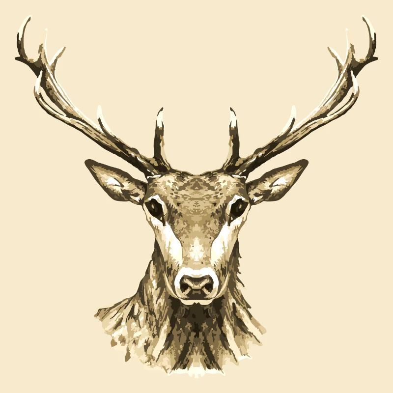 Cerf