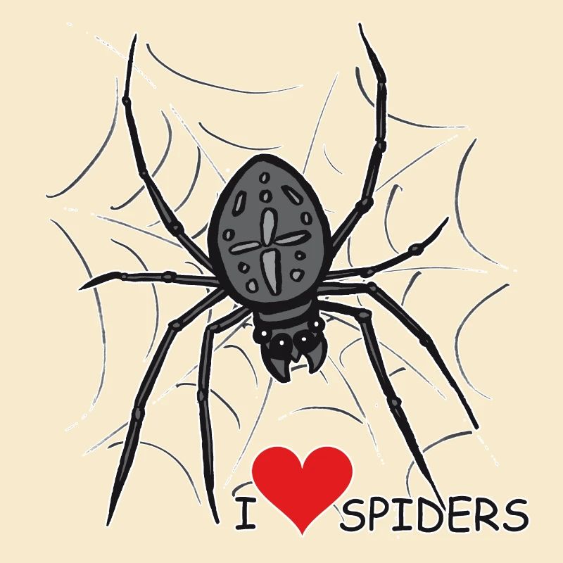 Spinne, Spinnennetz, Halloween
