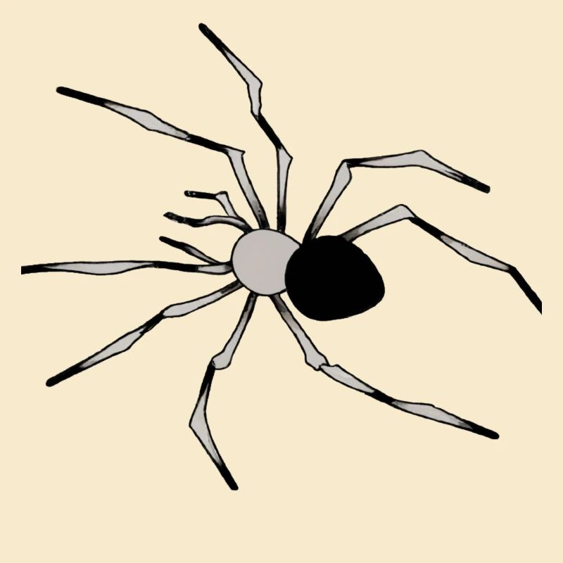 Spinnen-Illustration