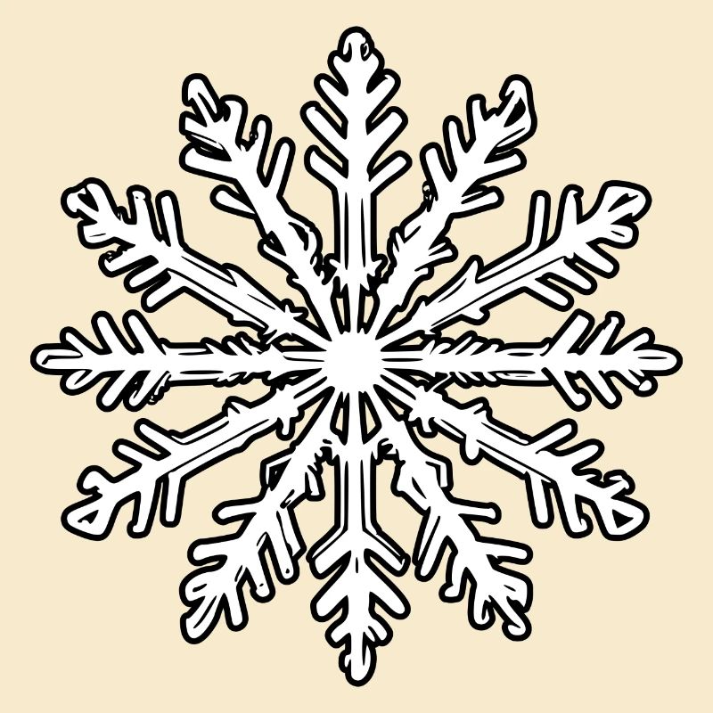 Snowflake Snow Winter Christmas Cold 12