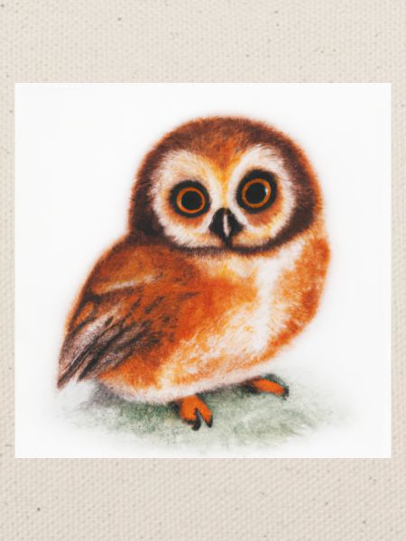 Süße Eule Aquarell