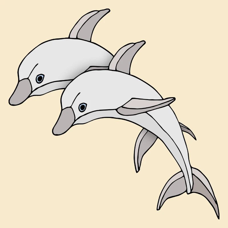 Dolphins