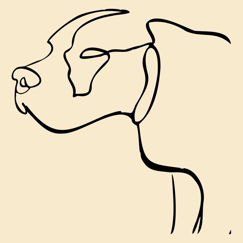 Hund