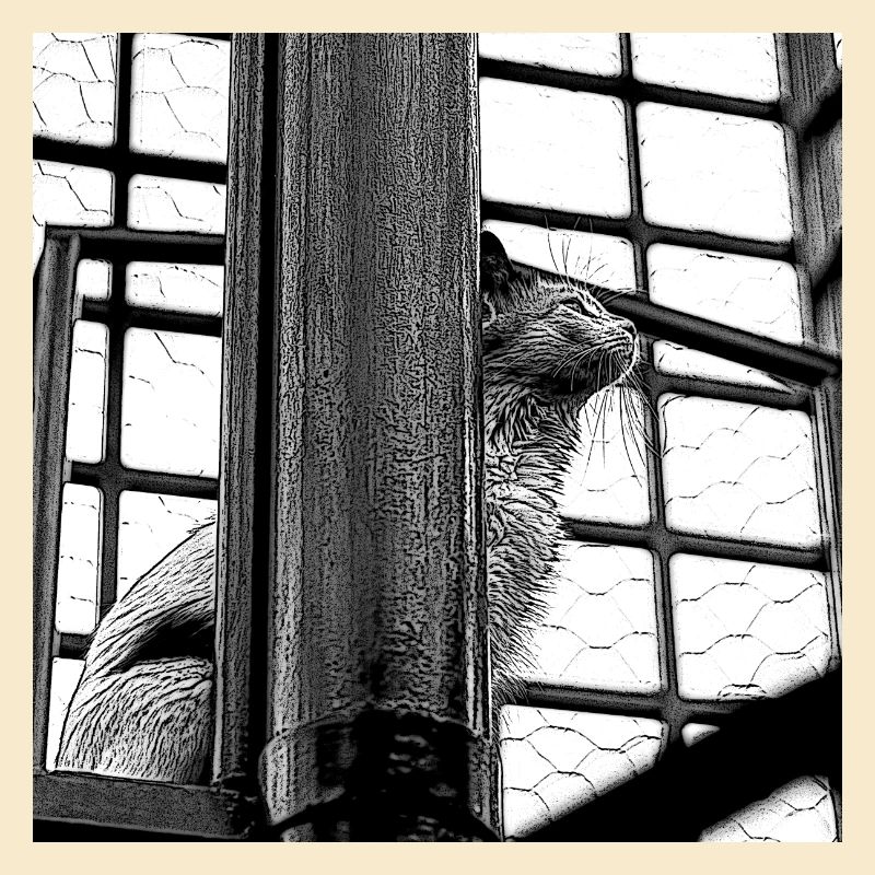 Die Katze auf dem Dach