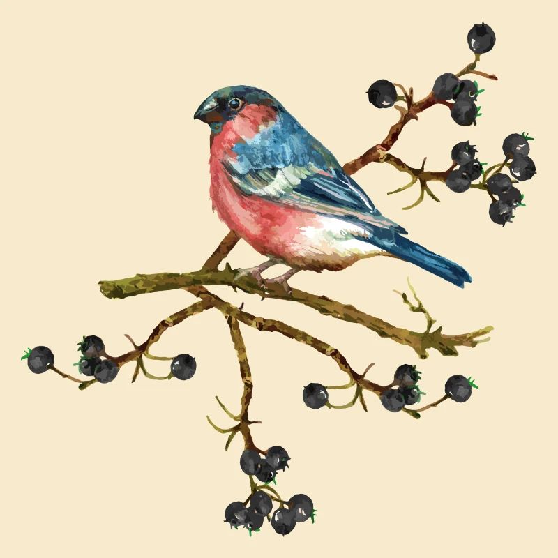 Oiseau coloré