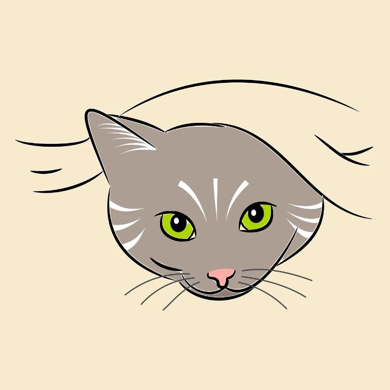 Katze
