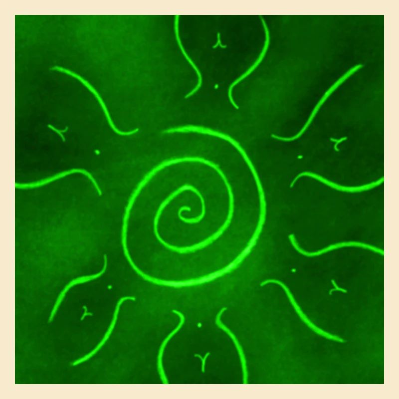GRÜNE SONNE