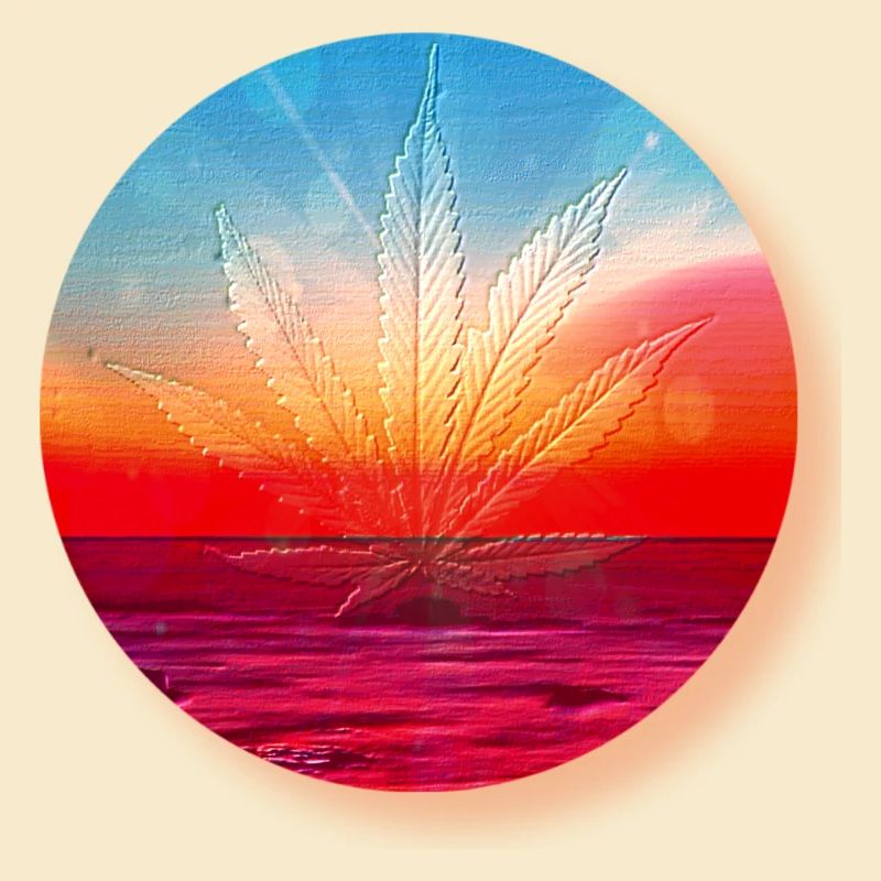 Hemp leaf before sunset