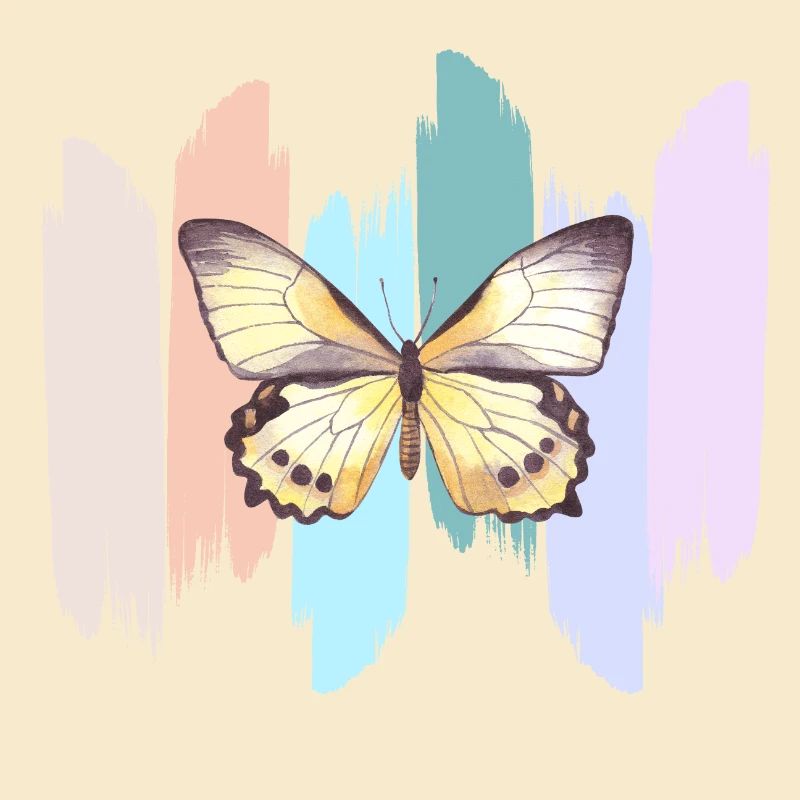 Papillon en arc en ciel