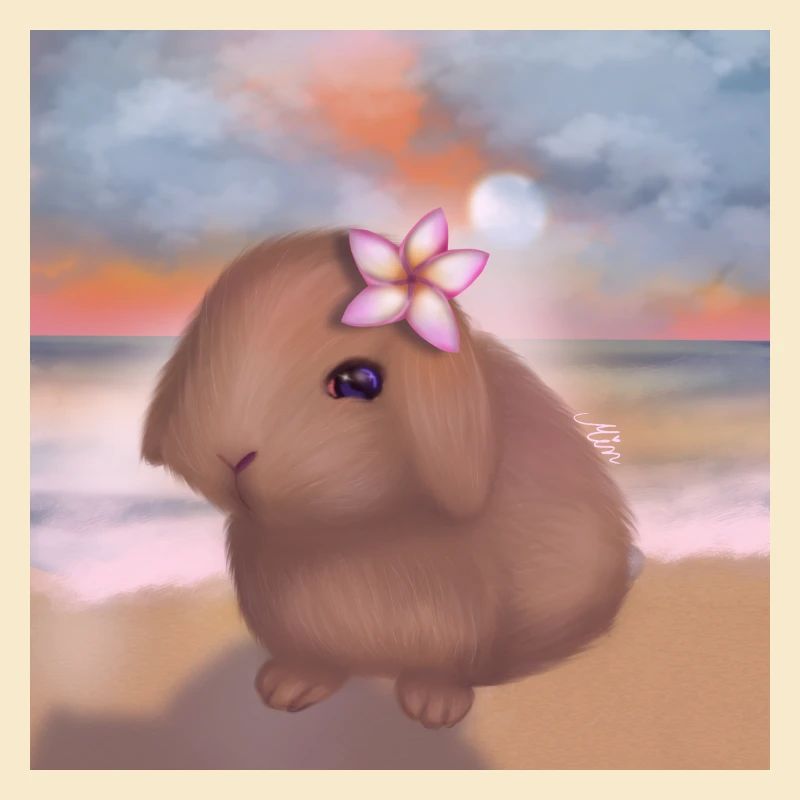 Hase am Strand