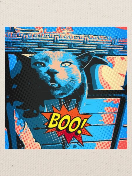 Crazy Cat Retro Style