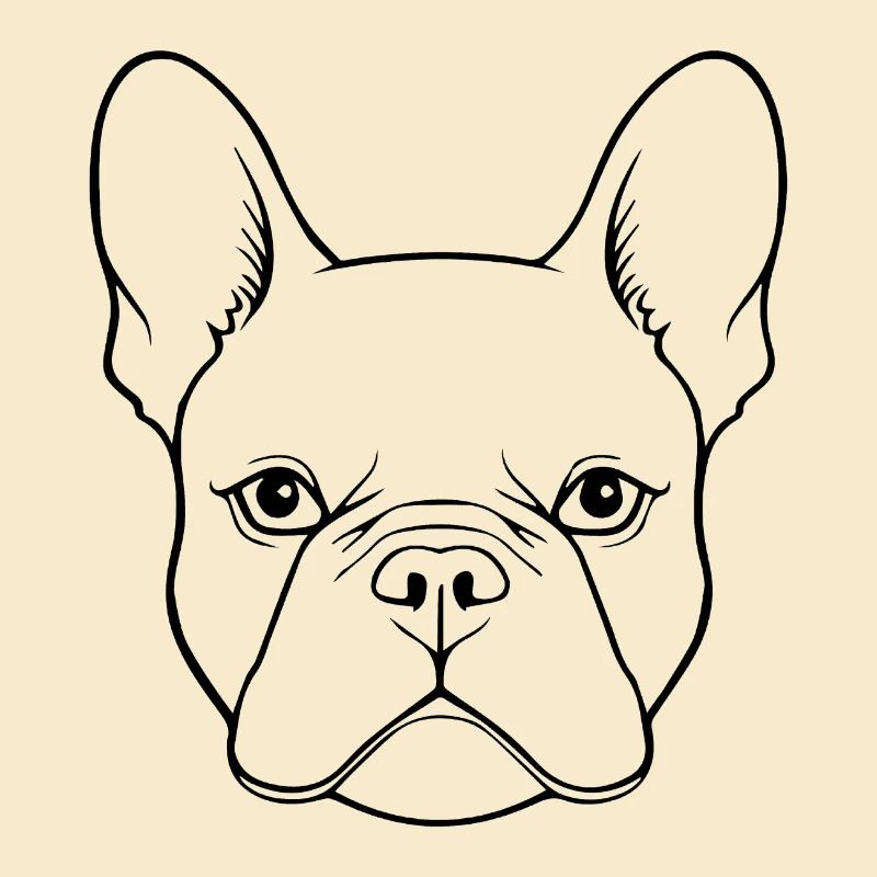 Bouledogue français Terrier de Boston