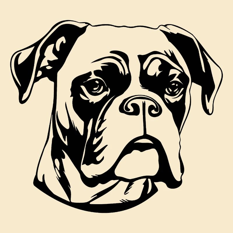 Boxer Hund Hunderasse