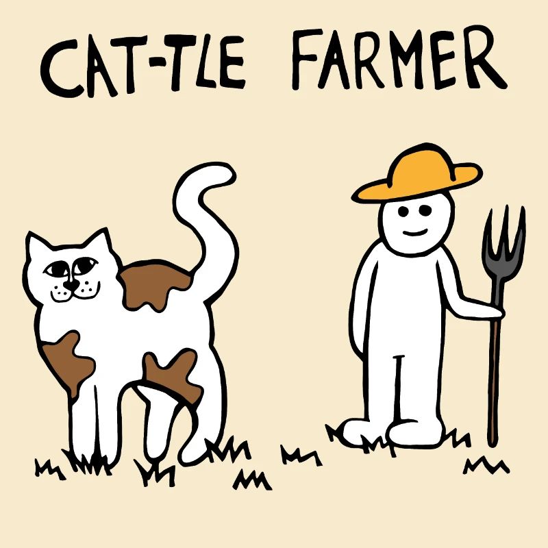 Rinder Katze Bauer