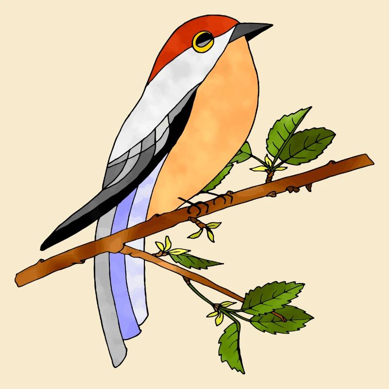Vogel