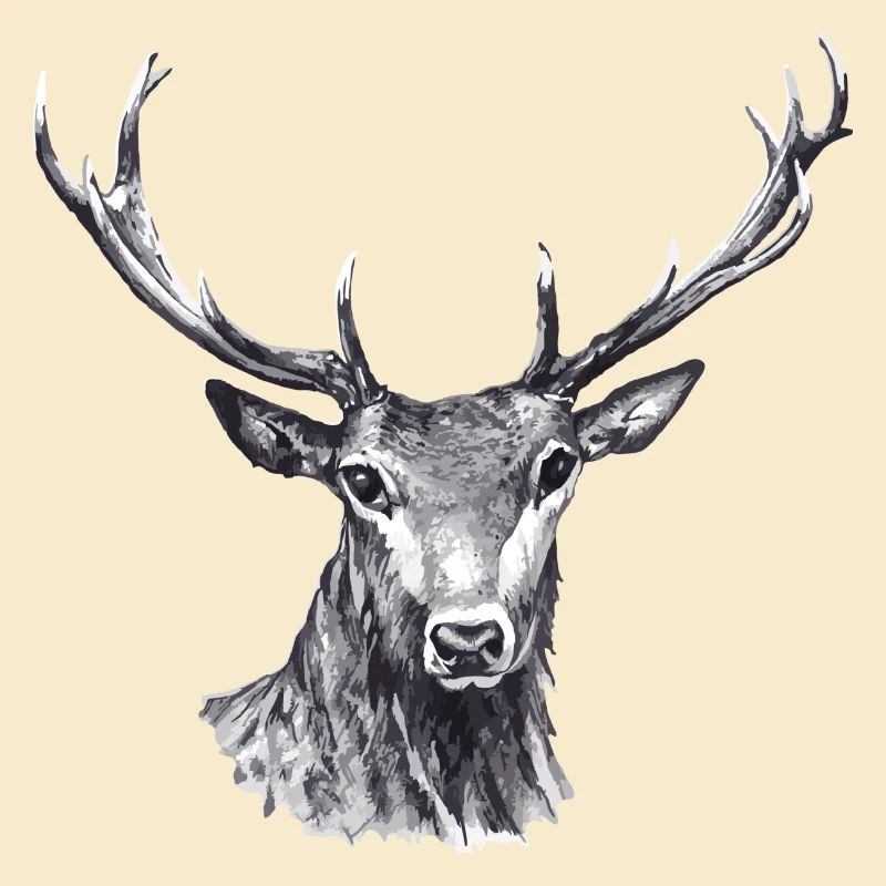 Hirsch