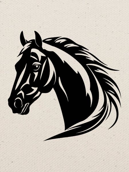 Pferd Pferdekopf Pony