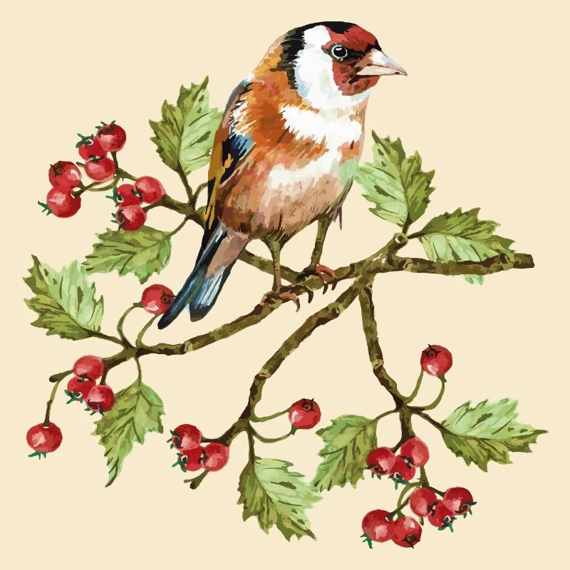 Colorful bird