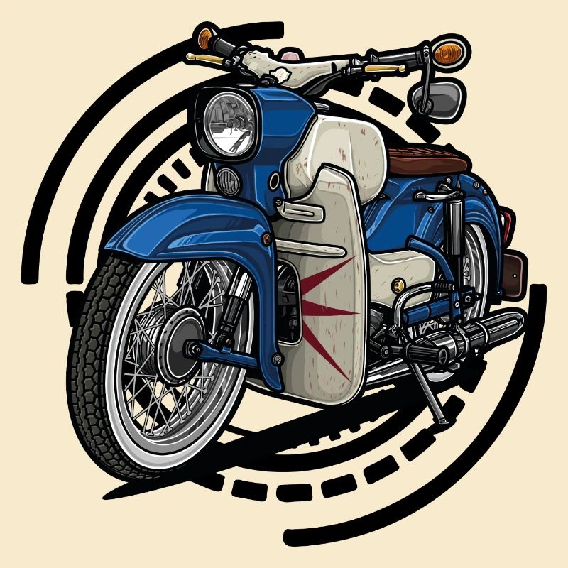Épervier // Illustration