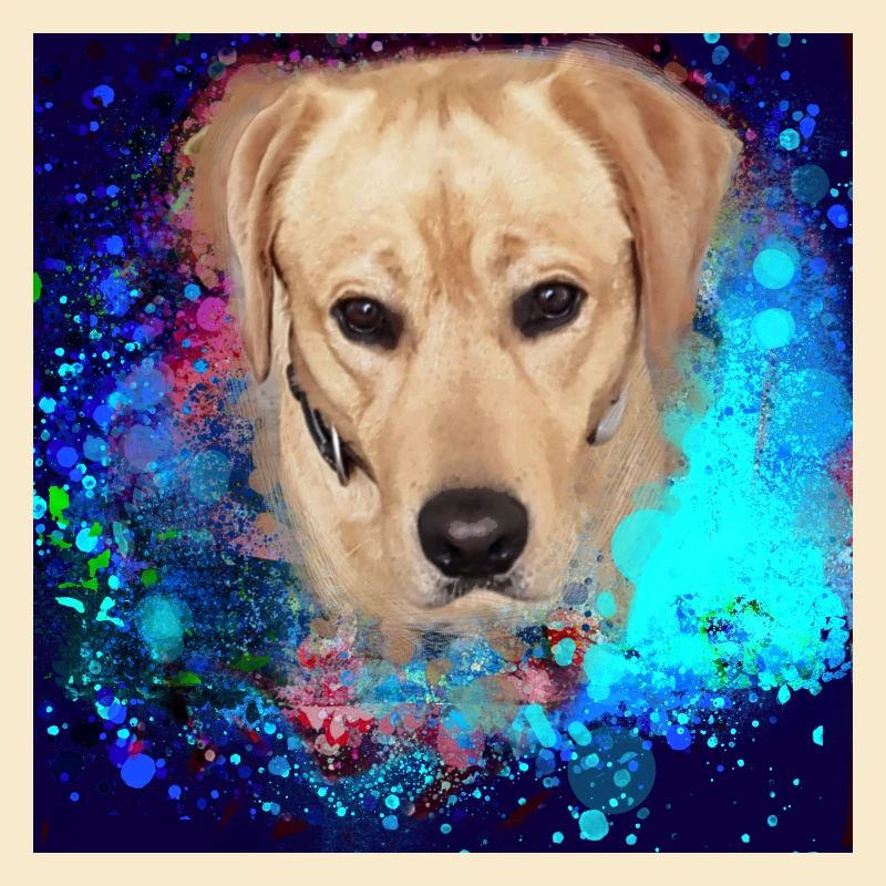 Labrador, Golden Retriever, graffiti,malerei