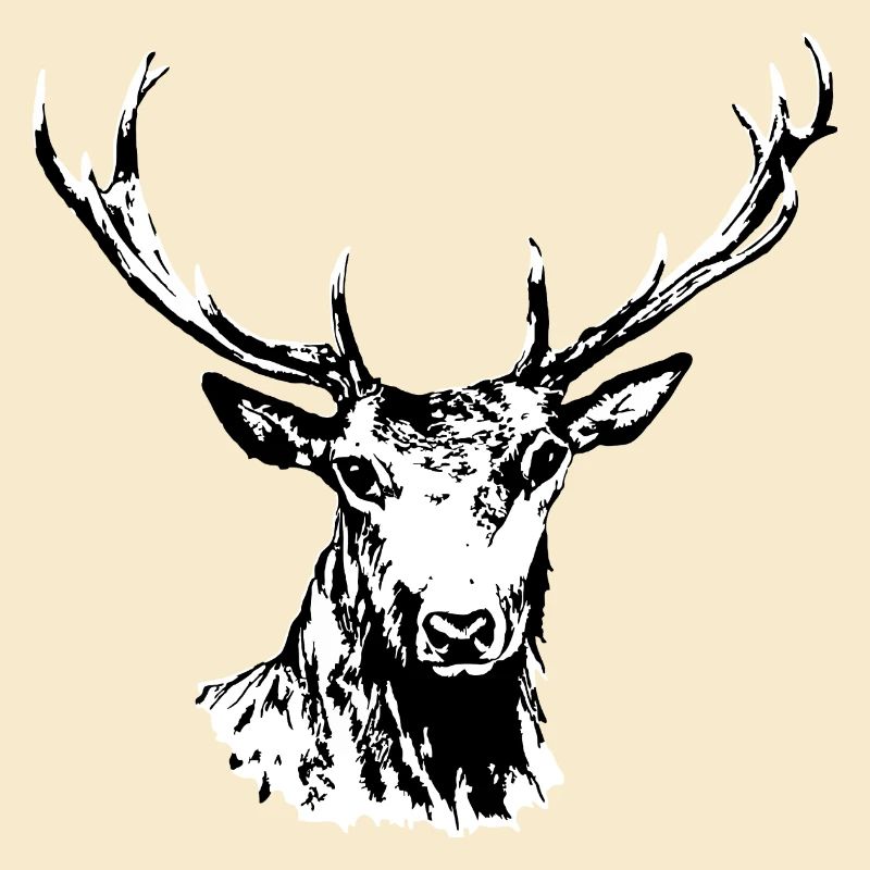 Hirsch