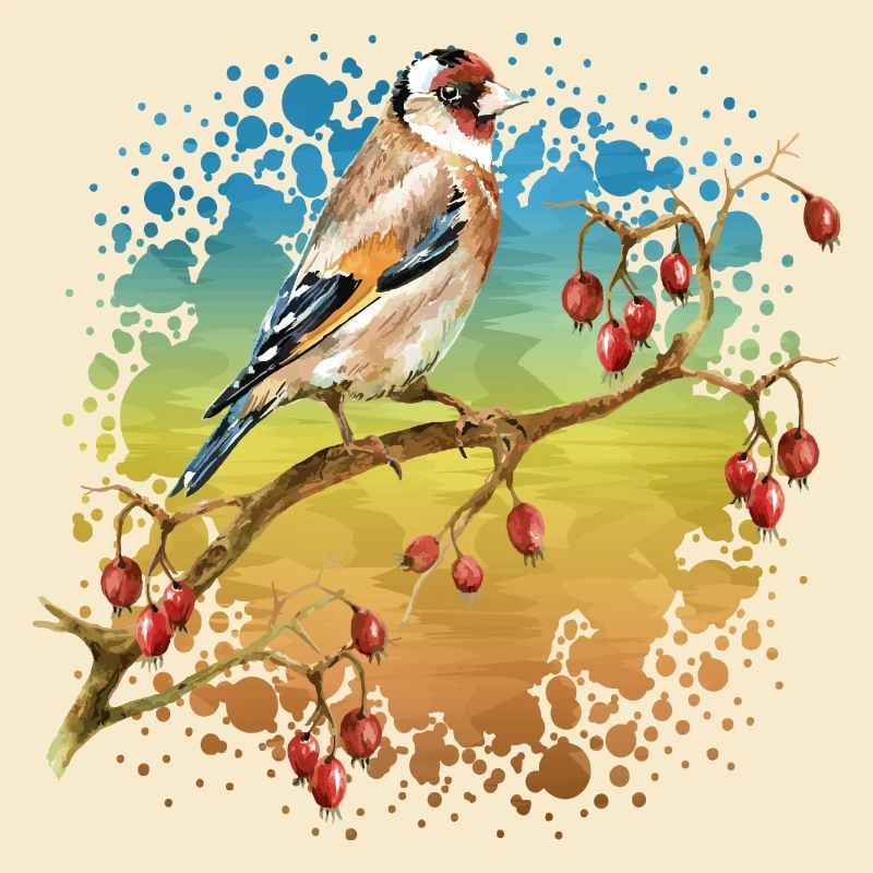 Vogel
