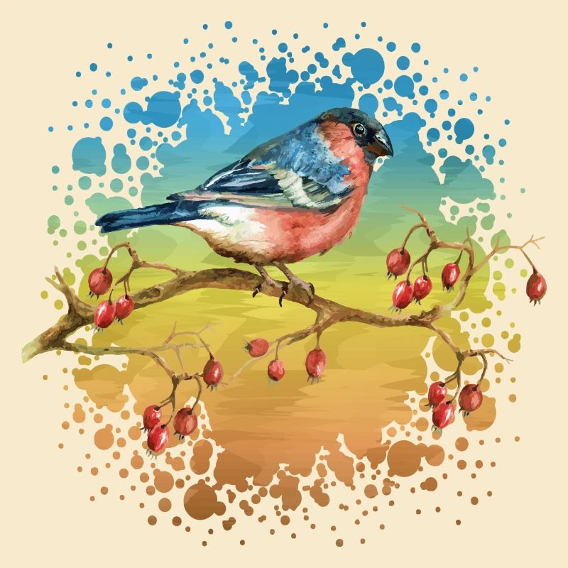 Bunter Vogel