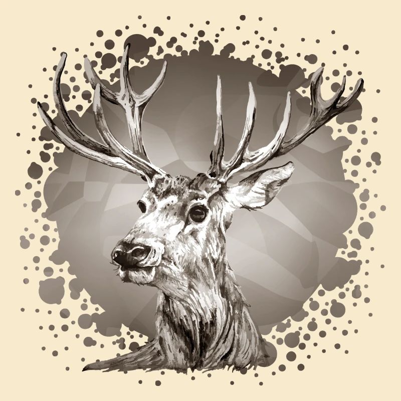 Hirsch