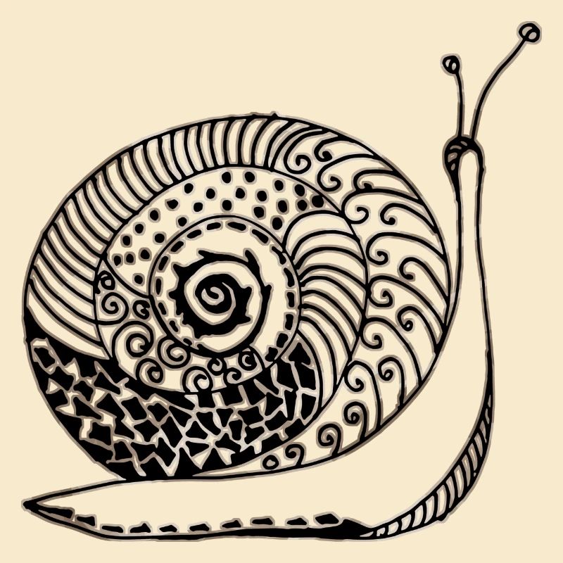 Schnecke