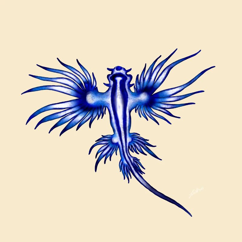 BLAUER DRACHE