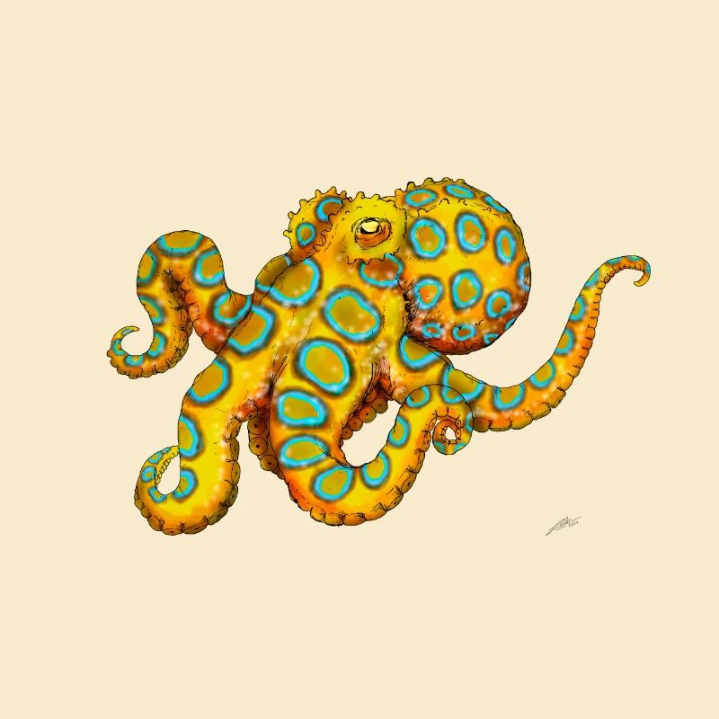BLUE-RINGED OCTOPUS