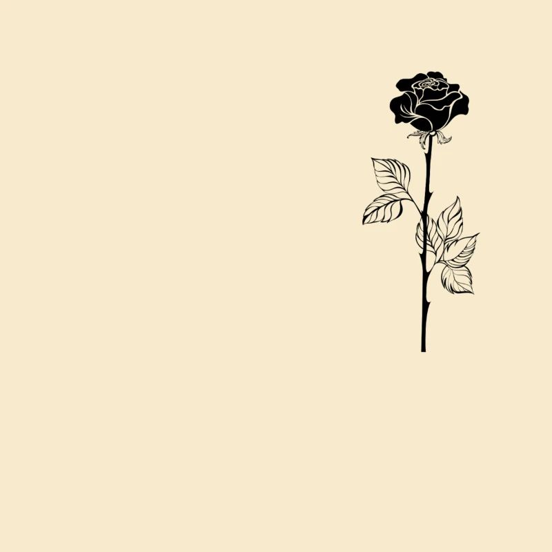 Schwarze Rose