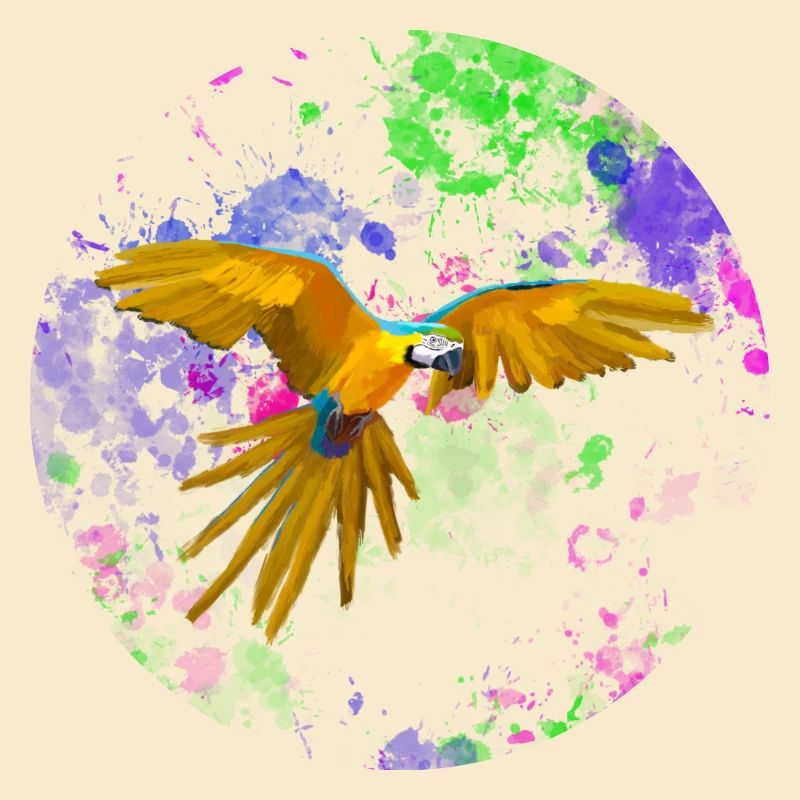 Macaw flight before paint splashes