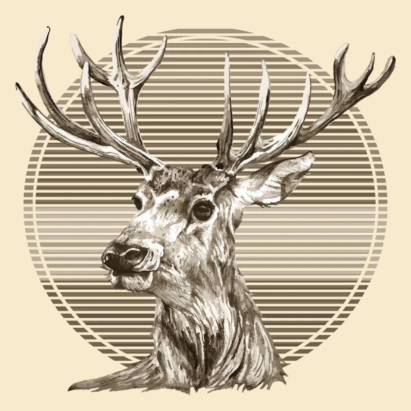 Cerf