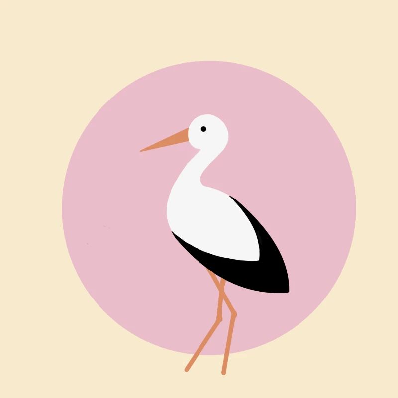 Storch rosa