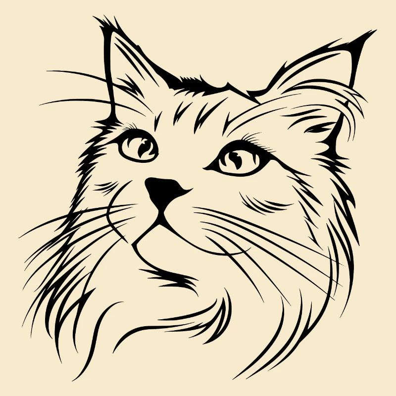 Chat, Motif De Chat, Visage De Chat