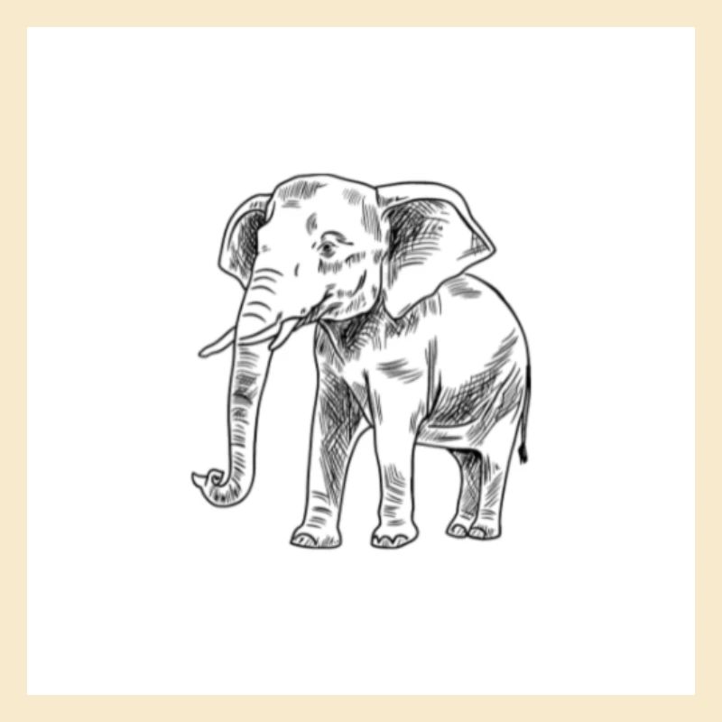 Elefant 1