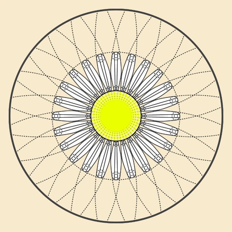 Gänseblümchen - Dunkel