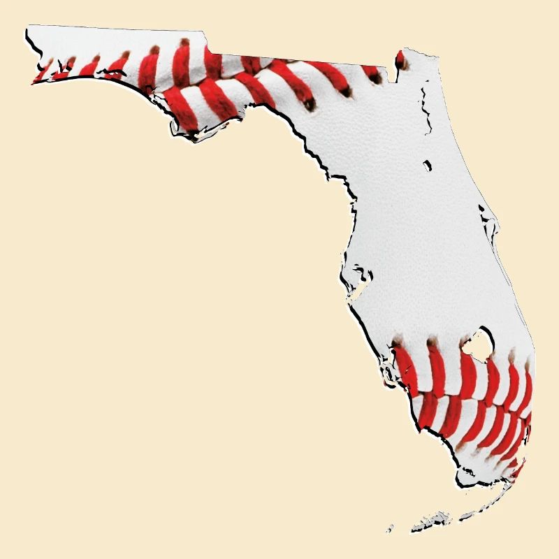 Real Baseball in Florida State Map