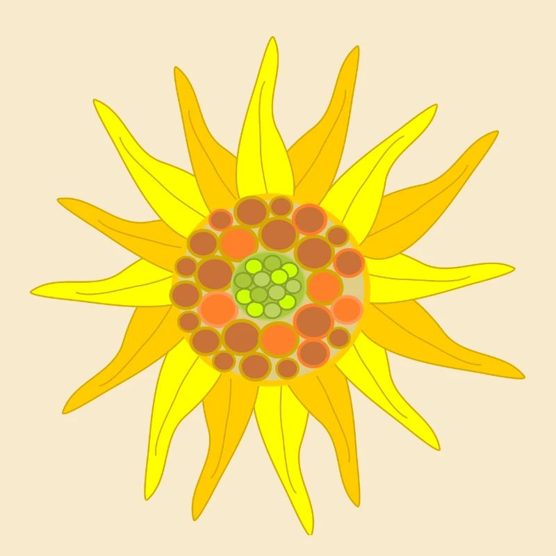 Sonnenblume