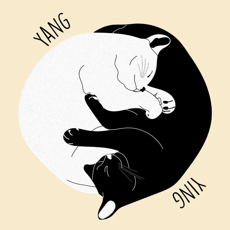 I Ching Cat