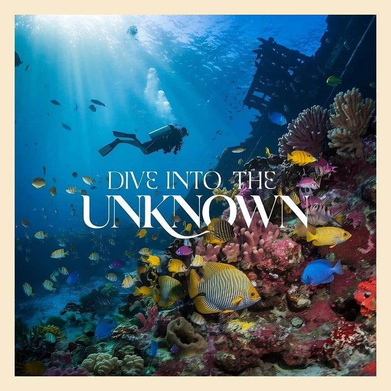 Dive into the Unknown transformed