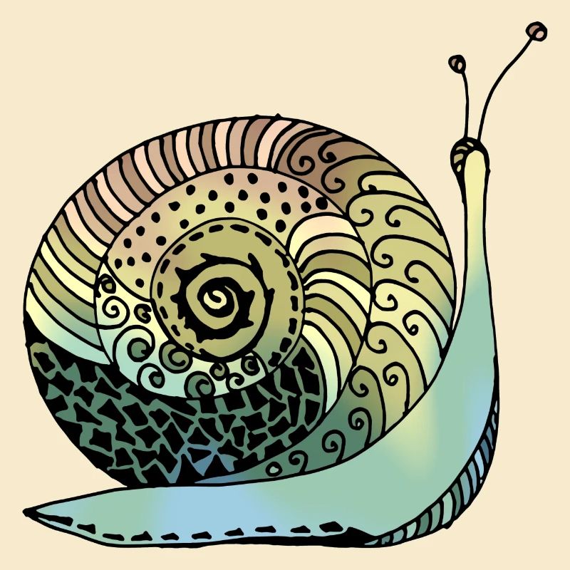 Schnecke