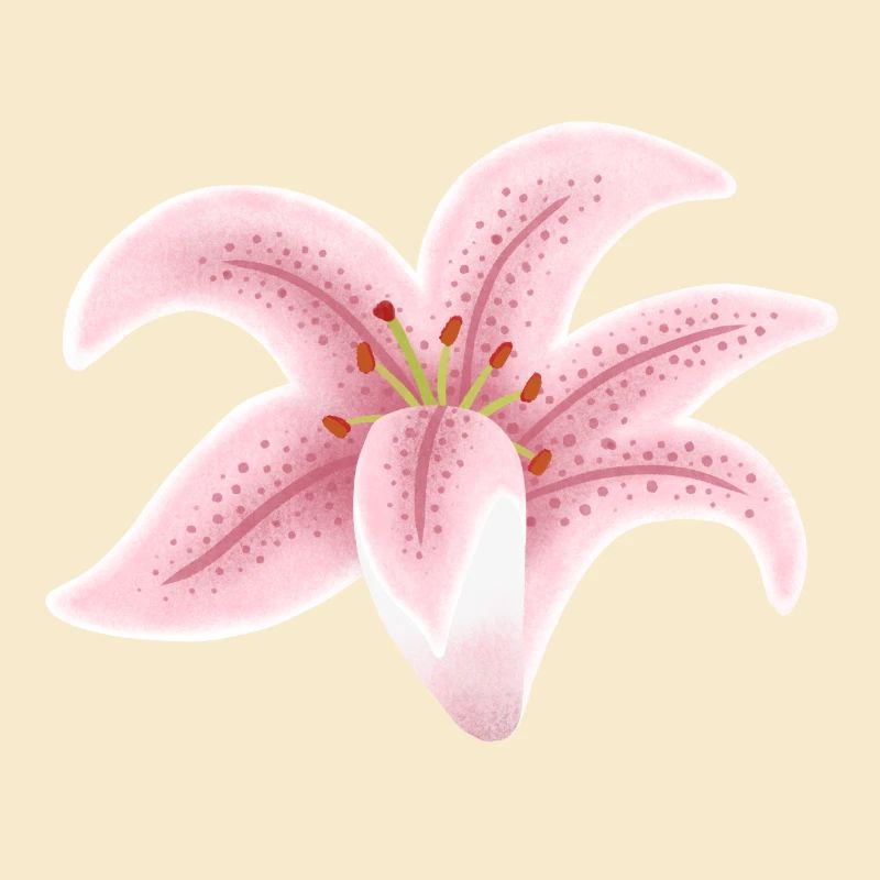 fleur de lys rose
