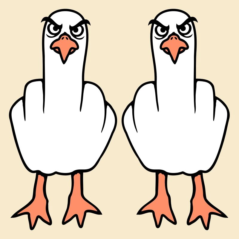 2 Seagulls Doigt d’honneur Insulte Stinkfinger Équipe